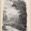 Plate 11
