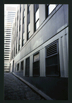 Block 151: Ryders Alley between Gold Street and Fulton Street (south and east side)
