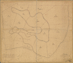 Property in the towns of Castleton and Southfield, Richmond Co. belonging to Wm. Emerson and George Folsom Esq