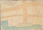 Map of property of New Brighton, Staten Island, New York, belonging to the North Shore Staten Island Ferry Company