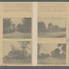 Auction Labor Day, Monday, September 2, 1907. . . 214 extra large lots . . . Constituting the premises formerly known as " the DeKay Estate Property," First Ward, Borough of Richmond, New York City