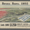 [Panoramic views of the Bronx: real estate auctions].