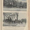 Illustrated Sporting News