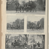Illustrated Sporting News