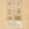 Uspenski, Machtet Helena, Uspenskaya, Ovchinnikov, Alekseyev