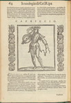 Capriccio