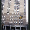 Block 173: Pearl Street between Frankfort Street and Fulton Street (west side)