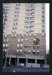 Block 173: Pearl Street between Frankfort Street and Fulton Street (west side)