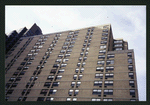 Block 173: Pearl Street between Frankfort Street and Fulton Street (west side)