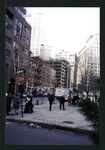 Block 173: Pearl Street between Frankfort Street and Fulton Street (west side)