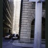 Block 174: William Street between Fulton Street and Ann Street (east side)