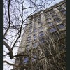 Block 174: Ann Street between William Street and Gold Street (south side)