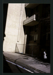 Block 175: Ann Street between Gold Street and William Street (north side)