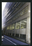 Block 175: Ann Street between Gold Street and William Street (north side)