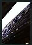Block 175: Ann Street between Gold Street and William Street (north side)