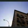 Block 175: William Street between Ann Street and Beekman Street (east side)