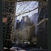 Block 175: Beekman Street between William Street and Gold Street (south side)