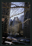 Block 175: Beekman Street between William Street and Gold Street (south side)
