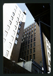 Block 179: Ann Street between Nassau Street and William Street (north side)