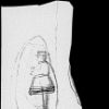 Old curiosity shop, 14-line holograph transcription by Dickens of passage on the death of Little Nell