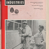 Plastering industries