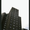 Block 184: Catherine Street between Madison Street and South Street (south west side)