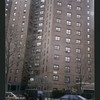Block 184: Catherine Street between Madison Street and South Street (south west side)