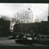 Block 184: Catherine Street between Madison Street and South Street (south west side)