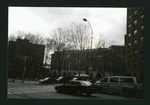 Block 184: Catherine Street between Madison Street and South Street (south west side)