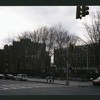 Block 184: Catherine Street between Madison Street and South Street (south west side)