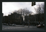 Block 184: Catherine Street between Madison Street and South Street (south west side)