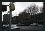 Block 184: Catherine Street between Madison Street and South Street (south west side)