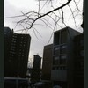 Block 184: Catherine Street between Madison Street and South Street (south west side)