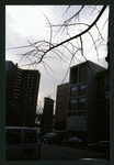 Block 184: Catherine Street between Madison Street and South Street (south west side)