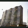 Block 189: St. James Place between East Broadway and Madison Street (west side)