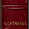 Journal. Florence. Jun. 8, 1858 - Jul. 3, 1858. 
[Mar.-Oct. 1858: v. 3]