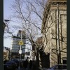 Block 193: Henry Street between Catherine Street and Oliver Street (north west side)