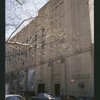 Block 196: Water Street between Catherine Street and Market Slip (east side)