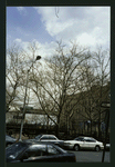 Block 197: Catherine Street between Cherry Street and Water Street (north side)