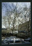 Block 197: Catherine Street between Cherry Street and Water Street (north side)