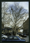 Block 197: Catherine Street between Cherry Street and Water Street (north side)