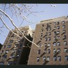Block 198: Catherine Street between Cherry Street and Monroe Street (north side)