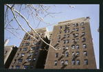Block 198: Catherine Street between Cherry Street and Monroe Street (north side)