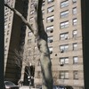 Block 198: Cherry Street between Market Slip and Catherine Street (west side)
