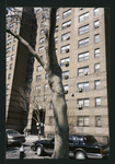 Block 198: Cherry Street between Market Slip and Catherine Street (west side)