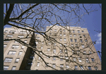 Block 198: Cherry Street between Market Slip and Catherine Street (west side)