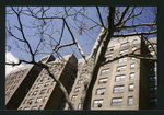 Block 198: Cherry Street between Market Slip and Catherine Street (west side)