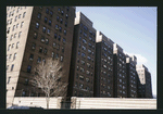 Block 198: Cherry Street between Market Slip and Catherine Street (west side)