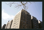 Block 198: Cherry Street between Market Slip and Catherine Street (west side)