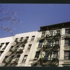 Block 200: Catherine Street between Madison Street and Henry Street (north side)